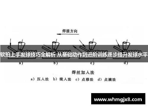 软拍上手发球技巧全解析 从基础动作到进阶训练逐步提升发球水平